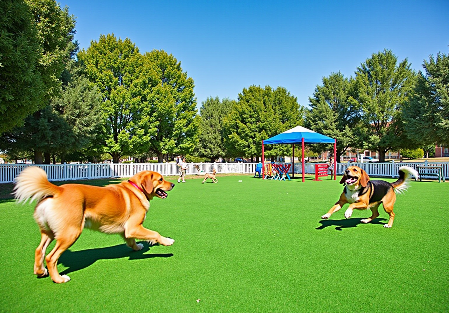 10-reasons-to-choose-artificial-turf-for-your-dog-park