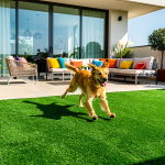 10-benefits-of-dog-patio-grass-for-your-kansas-home