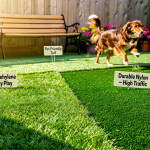 compare-different-types-of-fake-grass-for-your-home-needs