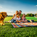 what-is-the-best-artificial-grass-for-your-kansas-home