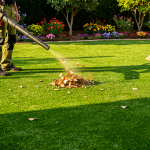 5-steps-for-the-best-way-to-clean-turf-at-home