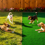 astroturf-for-dogs-to-pee-on-comparing-pet-friendliness-and-care