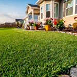 how-much-does-turf-installation-cost-a-step-by-step-guide