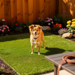 master-dog-potty-training-with-fake-grass-for-dog-pee