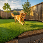 what-to-put-under-turf-for-dogs-essential-base-materials-explained