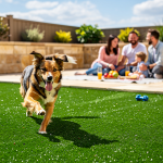 10-benefits-of-artificial-turf-deodorizer-infill-for-your-lawn