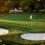best-practices-for-maintaining-your-golf-putting-green-turf