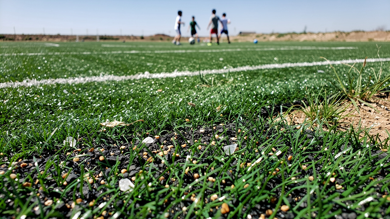 why-is-fake-grass-bad-for-the-environment-key-reasons-explained