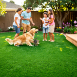 10-benefits-of-no-mow-artificial-grass-for-your-home