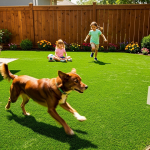 5-steps-to-find-the-best-artificial-grass-near-you-in-kansas